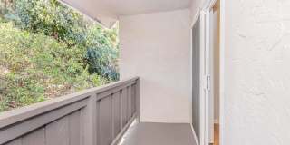 Ocean Vista Gallery 52