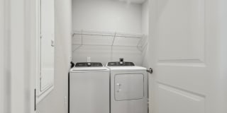 Avida Gallery 45