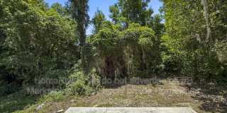 356 Duray Ct Gallery 3