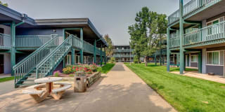 Bears Village Gallery 2