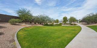 Solana Place at Carlton Commons Gallery 25