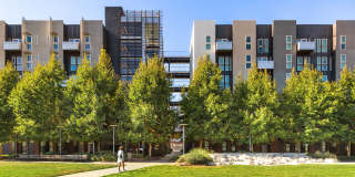 Potrero 1010 Gallery 14