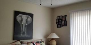 3 bedroom 2 bath 2 car garage rental Gallery 8