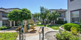 Coventry Park Gallery 53