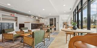 The Perch Gallery 20