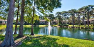 TimberLake Gallery 23