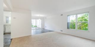 Whethersfield Gallery 31