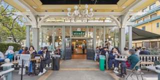 2605 Haste Street Gallery 11