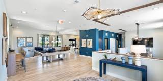 Cobalt Cobalt Gallery 42
