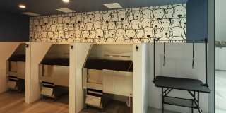 Ascent at Metropolitan Naples Gallery 28