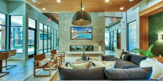 Amiya Gallery 19