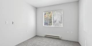 Nickel Creek Gallery 14