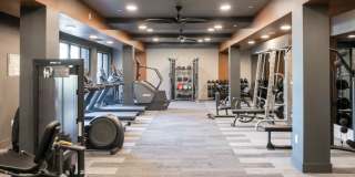 Paloma Village Gallery 15