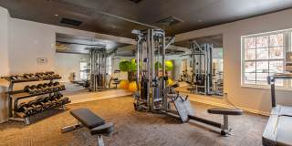 Trellis North Fayette Gallery 37