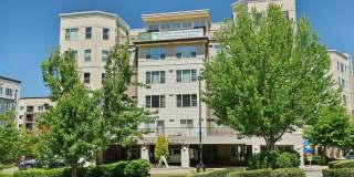 The Blakely at Echo Lake - 55+ Senior Housing Gallery 32