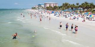 8309 Adelio Lane Gallery 32