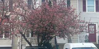 4154 PLEASANT MEADOW Court Gallery 1