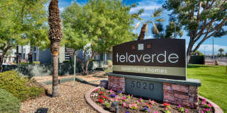 TelaVerde Gallery 11