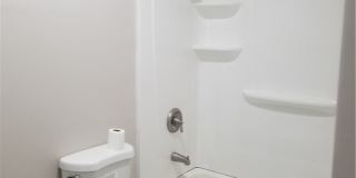2504 Flower Gallery 7