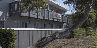 Monterey Townhouse Gallery 66