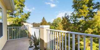 9040 WHITE SAGE LOOP Gallery 30