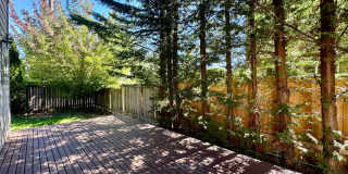 Beautiful 4 Bed/2.5 Bath Home in Lynnwood – Great Location & Spacious Layout Beautiful 4 Bed/2.5 Bath Home in Lynnwood – Great Location & Spacious Layout Gallery 22