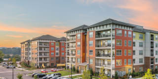 The District Gallery 4