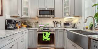 A Tall Glass of Soulard! 2.5BR/2.5Bath! Gallery 1