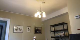 817 Arnette Ave Gallery 11