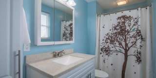 5726 Countrie View Court Gallery 19