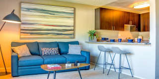 Sofi Belmont Hills Gallery 6