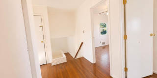 36 Forest Drive Gallery 7