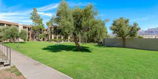 Verde Apartments Gallery 19