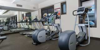 Paragon at Old Town Gallery 22