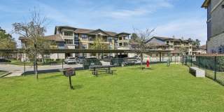 Hollow Tree Park Gallery 6