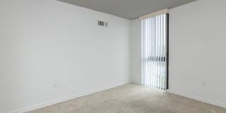 Whitestone at Landmark Gallery 41