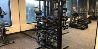 The Redwell Gallery 8