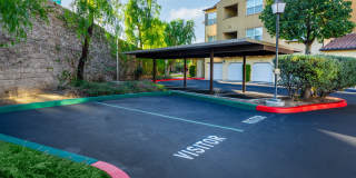 Paseos At Magnolia Luxury Apartment Homes Gallery 82
