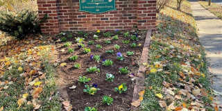 2513 Vail Avenue unit: 4 Gallery 1