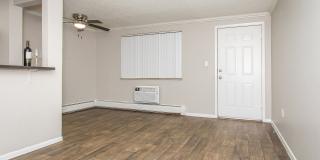 Carlisle on the Park Gallery 1