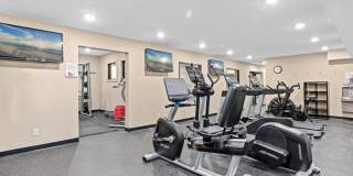 Palisades Gallery 23