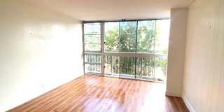Recently Renovated 1 Bedroom in Honolulu Gallery 4