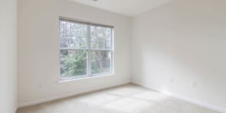 Mosaic at Metro Gallery 25