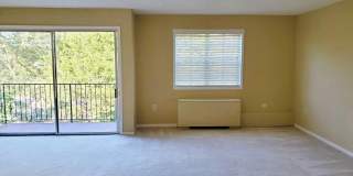 10303 45TH Place unit: 202 Gallery 2