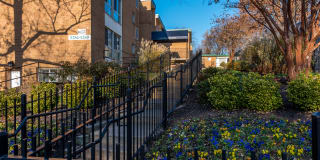 Meadows at Capitol Heights Gallery 27