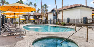 Fountain Palms Gallery 13