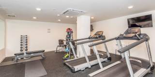 Heights By Vintage Gallery 18