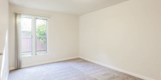 Camelback South Gallery 15