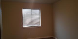 1113 Longbow - A Gallery 13