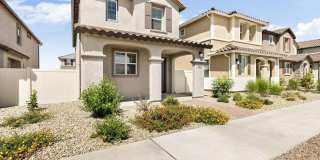 24623 N 164th Drive Gallery 2